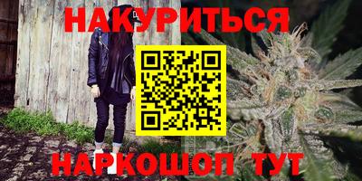 прущие крисы Моздок