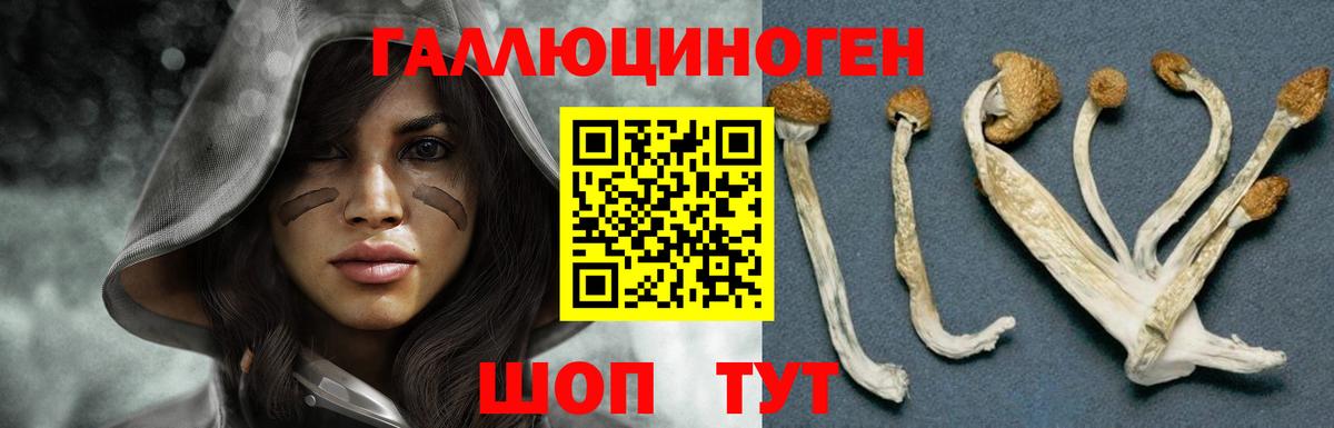 Галлюциногенные грибы мицелий Первоуральск